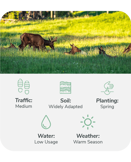 Food Plots for Bird & Deer Hunting Season